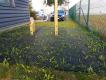 PACK 60 M² - DALLE NID D'ABEILLE SECURITE HIC 2.50 M