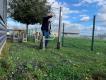 PACK 90 M² - DALLE NID D'ABEILLE SECURITE HIC 2.50 M